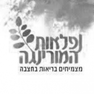 פנינה